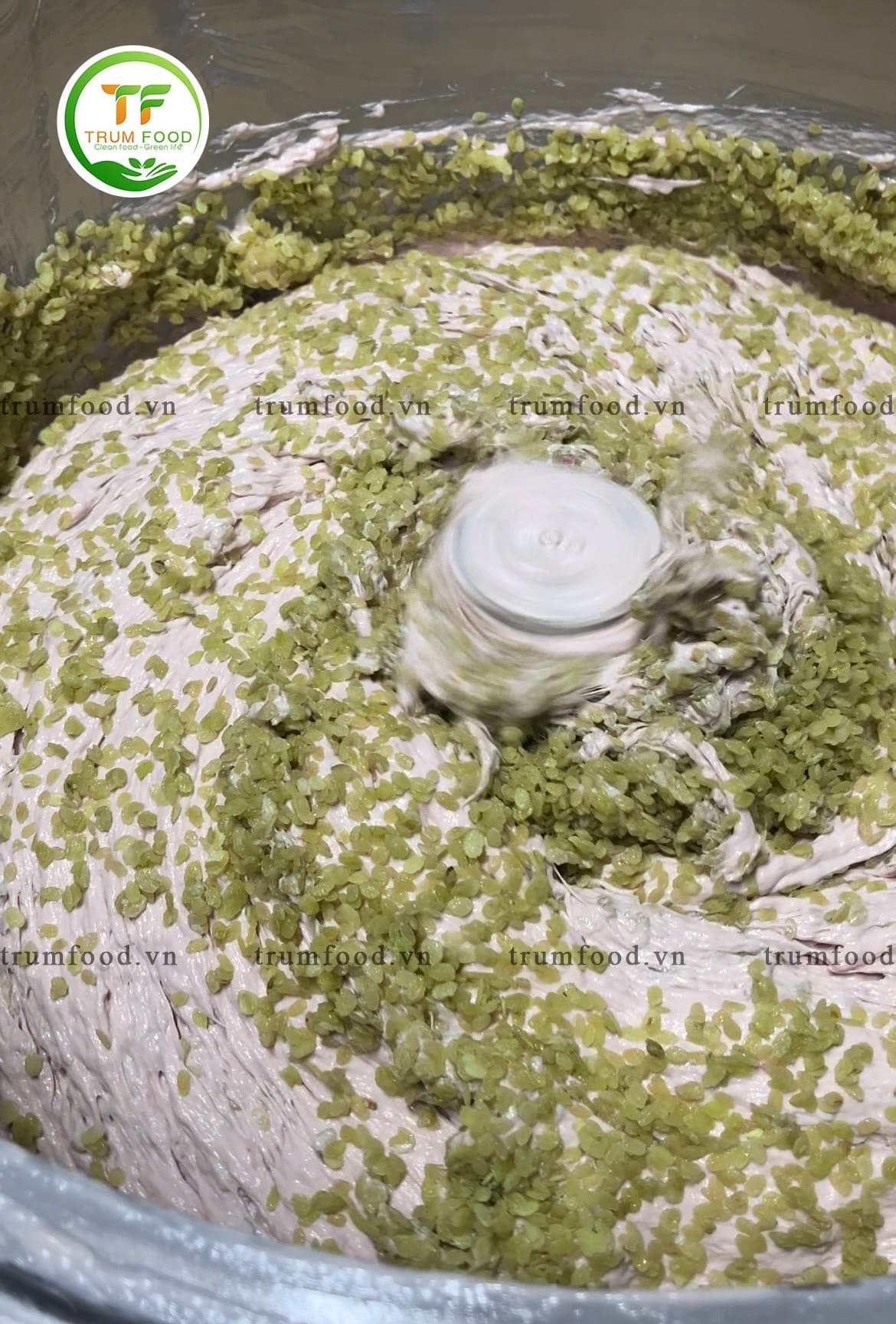 trộn cốm và mọc làm chả cốm